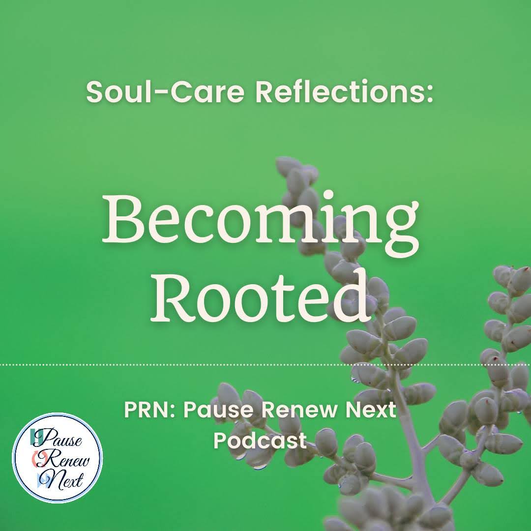 Soul-Care Reflections: Becoming Rooted