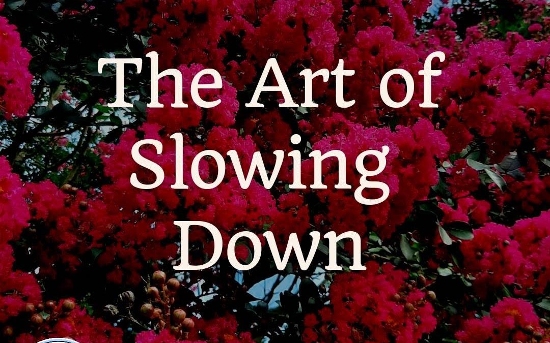 Soul-Care Reflections: The Art of Slowing Down