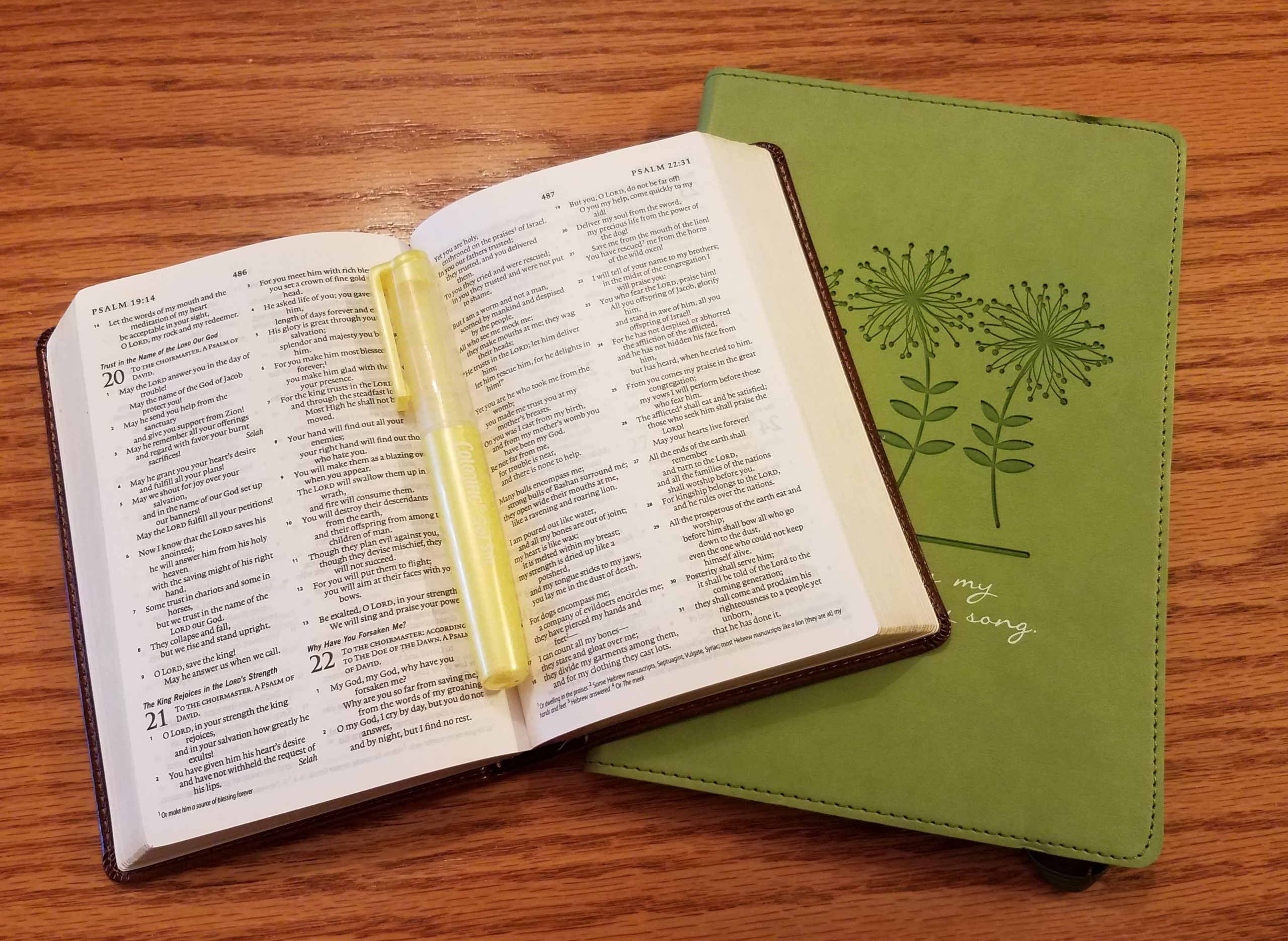 Soul Care and Scripture