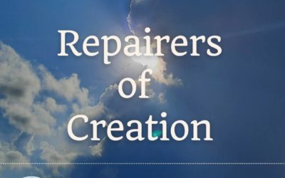 Soul-Care Reflections: Repairers of Creation