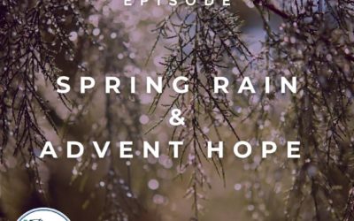 Soul-Care Reflections: Spring Rain & Advent Hope