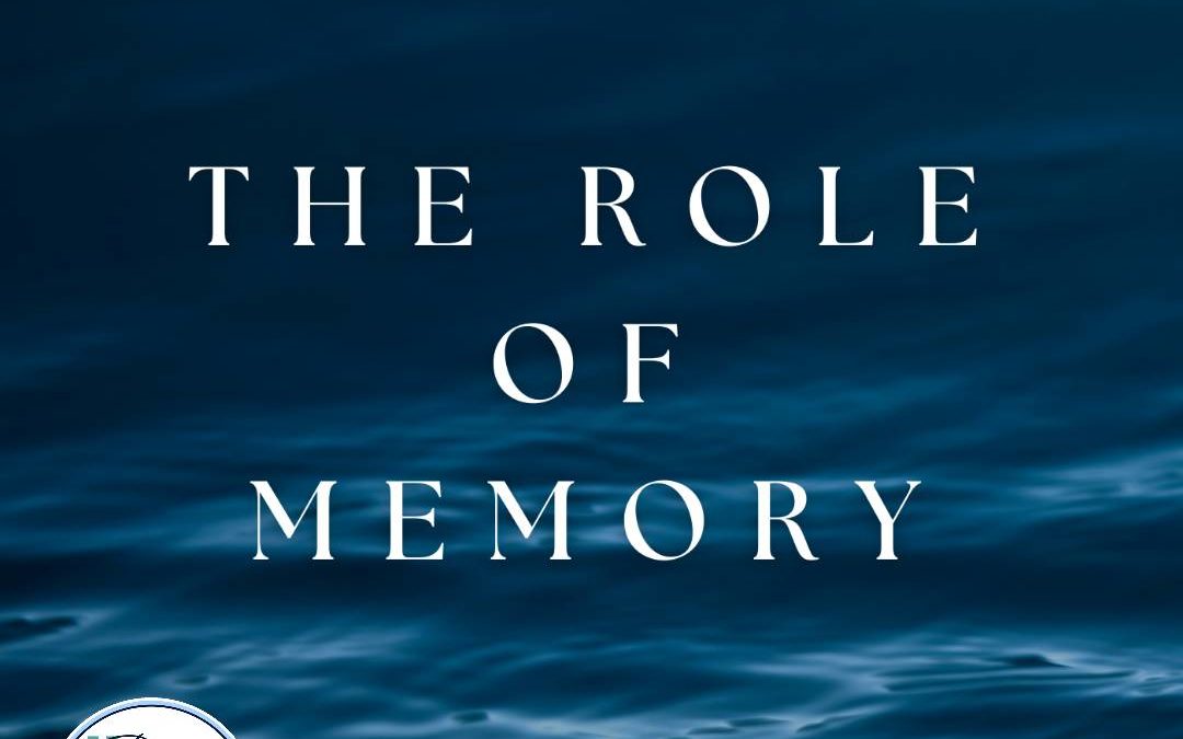 Tell Your Story: The Role of Memory