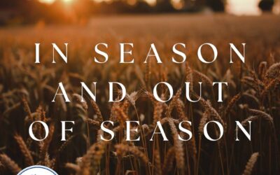 Tell Your Story: In Season and Out of Season