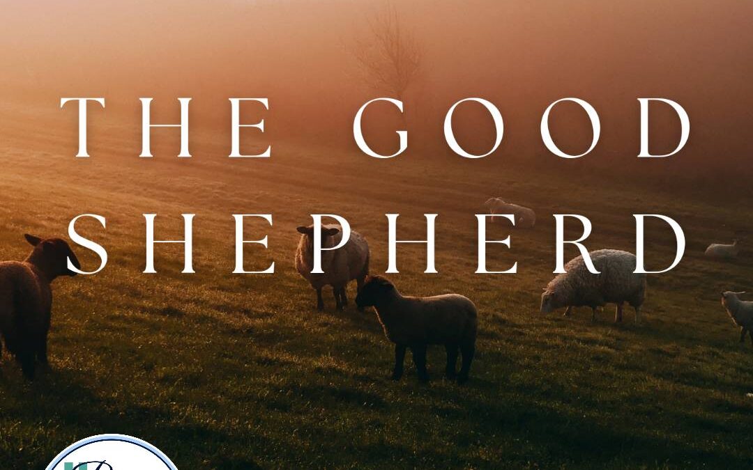 Stories of the Kingdom: The Good Shepherd