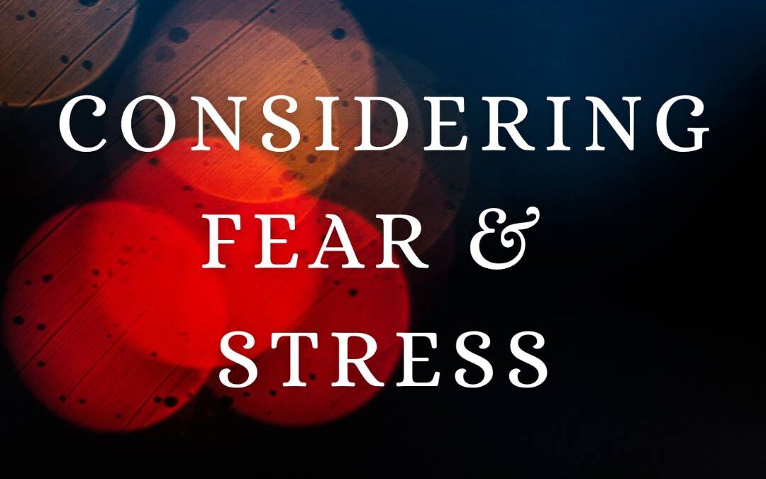 In Process: Considering Fear & Stress