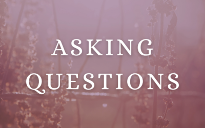 In Process: Asking Questions