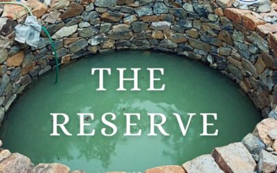 The Reserve