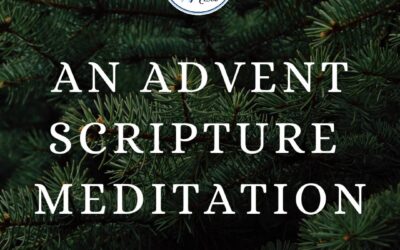 An Advent Scripture Meditation